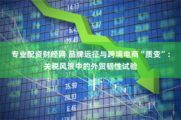 专业配资财经网 品牌远征与跨境电商“质变”：关税风浪中的外贸韧性试验